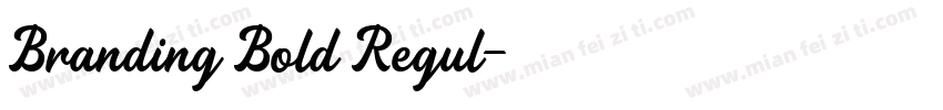 Branding Bold Regul字体转换